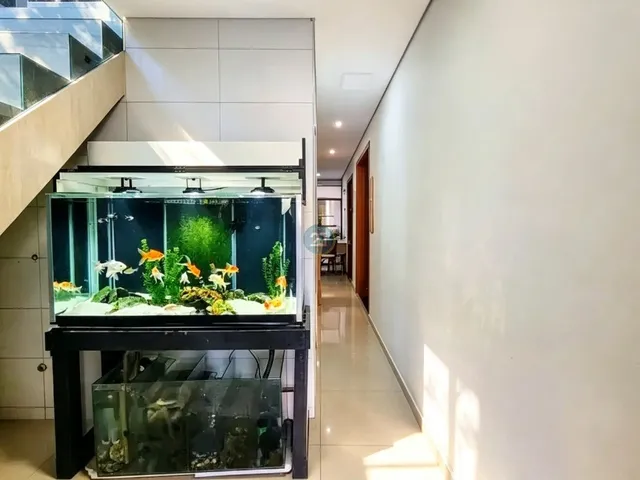 Imagem 7: Alugo ampla casa mobiliada com 04 quartos, piscina com 240m² no bairro Campeche