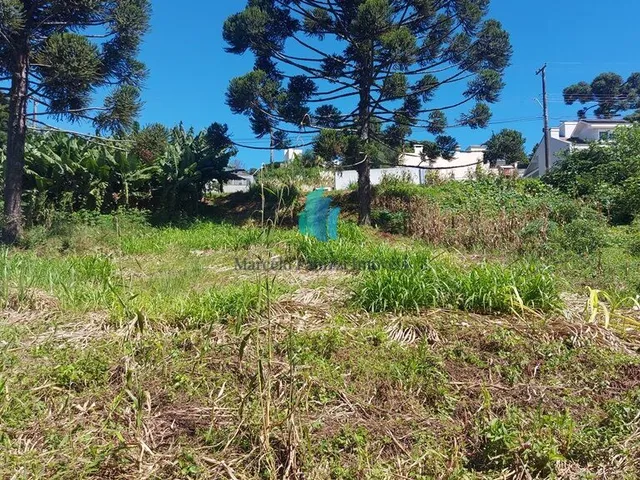 Imagem 3: Terreno À Venda no Bairro Santo Antão - Bento Gonçalves/Rs