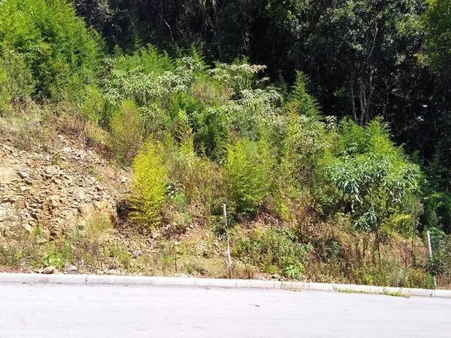Imagem: Terreno