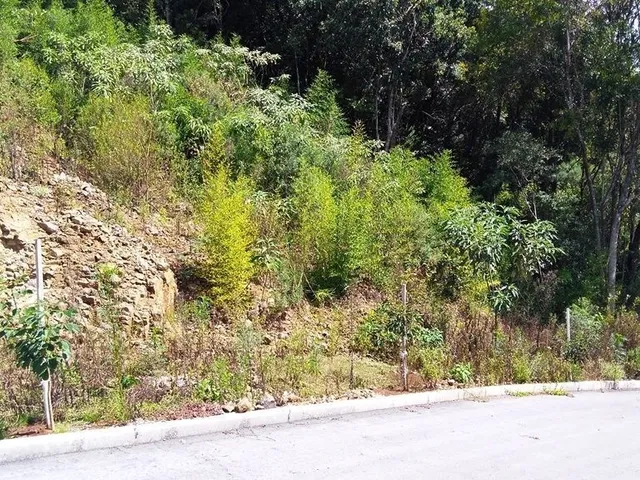 Imagem 2: Terreno Terreno / lote com venda por R$250.000