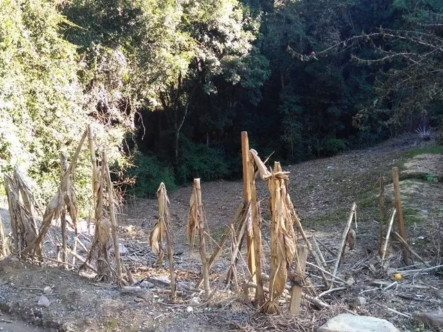 Imagem 2: Casa Semimobiliada
