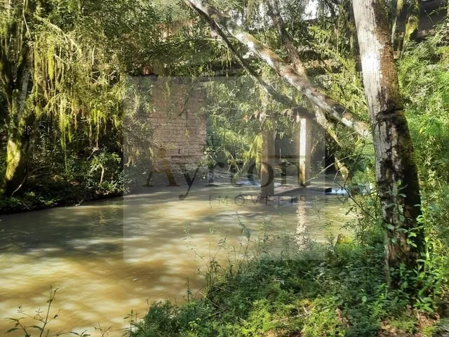 Imagem 4: Área À Venda no Bairro Rural - Presidente Lucena/Rs