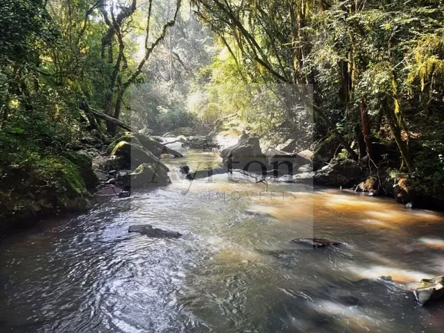 Imagem 13: Área À Venda no Bairro Rural - Presidente Lucena/Rs