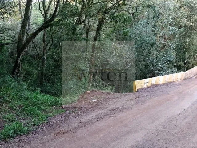 Imagem 2: Área À Venda no Bairro Rural - Presidente Lucena/Rs