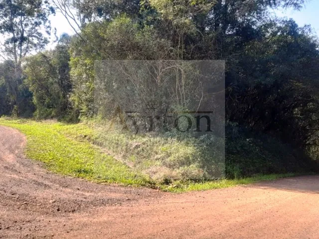 Imagem 11: Área À Venda no Bairro Rural - Presidente Lucena/Rs