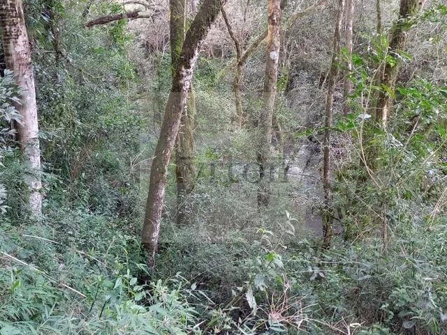 Imagem 8: Área À Venda no Bairro Rural - Presidente Lucena/Rs