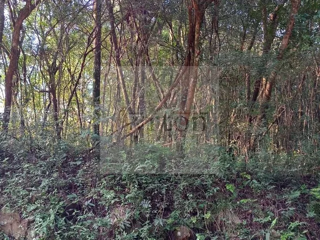 Imagem 14: Área À Venda no Bairro Rural - Presidente Lucena/Rs