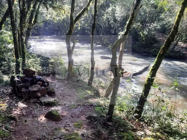 Imagem 3: Área À Venda no Bairro Rural - Presidente Lucena/Rs