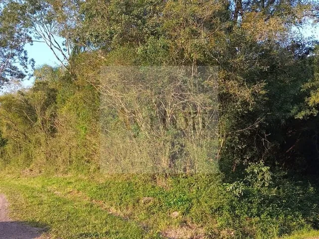 Imagem 12: Área À Venda no Bairro Rural - Presidente Lucena/Rs