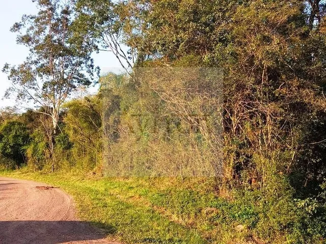 Imagem 6: Área À Venda no Bairro Rural - Presidente Lucena/Rs
