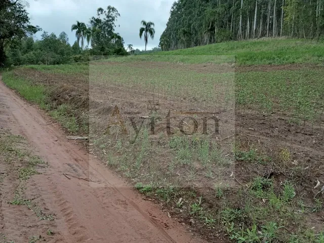 Imagem 2: Chácara À Venda no Bairro Conceição - Portão/Rs