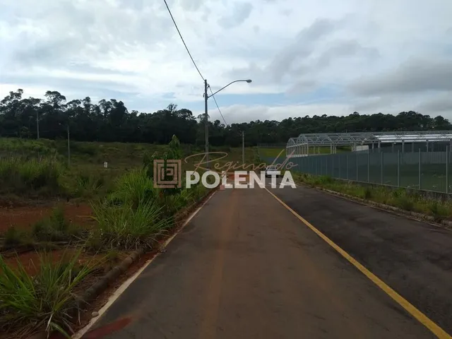 Imagem: Loteamento Parque dos Ipês
