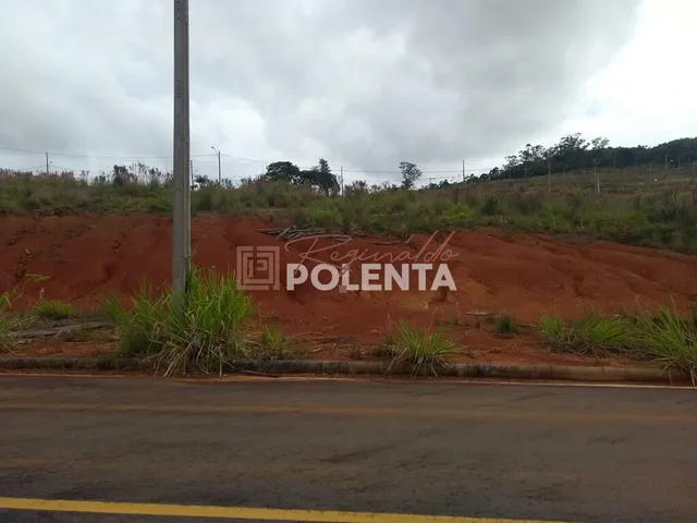 Imagem 3: Loteamento Parque dos Ipês