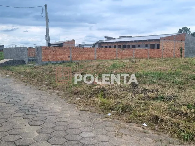 Imagem: O terreno está localizado em São Defende, Criciúma à