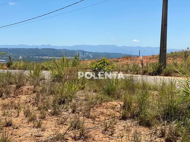 Imagem 5: Parque dos Ipês Loteamento