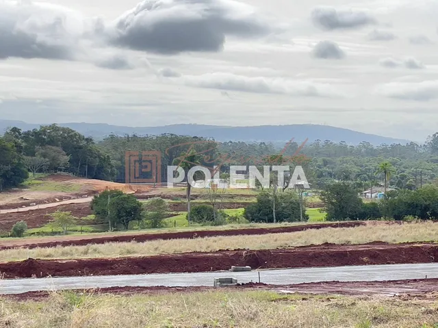 Imagem 3: Loteamento Reserva da Mata