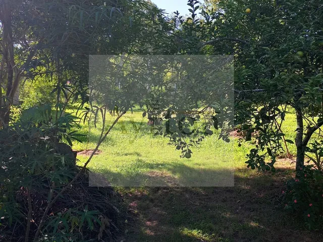Imagem 10: Chácara À Venda no Bairro Vale Verde - Portão/Rs