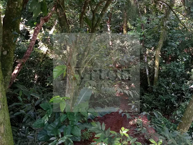 Imagem 11: Chácara À Venda no Bairro Vale Verde - Portão/Rs