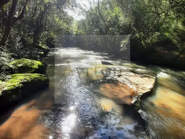 Imagem 3: Área À Venda no Bairro Linha Nova - Lindolfo Collor/Rs
