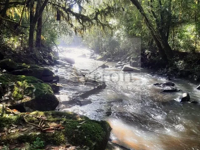 Imagem 6: Área À Venda no Bairro Linha Nova - Lindolfo Collor/Rs