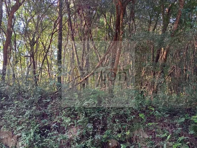 Imagem 4: Área À Venda no Bairro Linha Nova - Lindolfo Collor/Rs