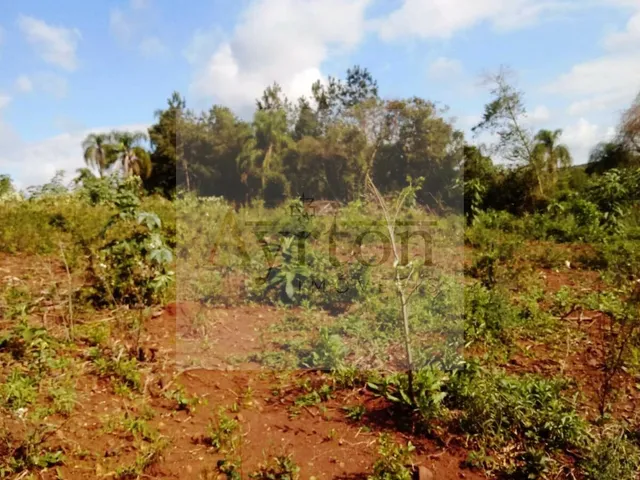 Imagem: Terreno À Venda no Bairro Beira Rio - Dois