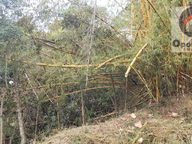 Imagem 5: Chácara Proximo Água Azul - Oportunidade !!!