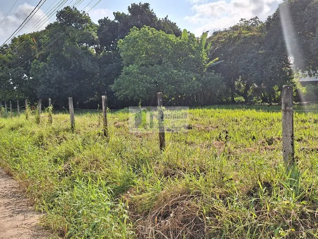 Imagem 3: Lote 26 da quadra 30 de esquina com av araça