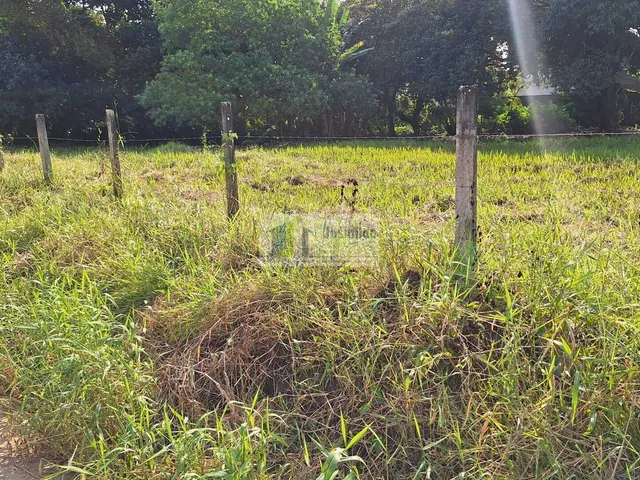 Imagem 15: Lote 26 da quadra 30 de esquina com av araça