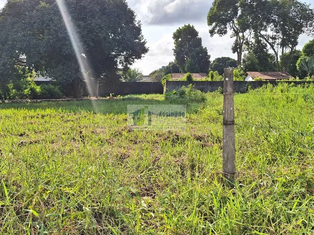 Imagem 9: Lote 26 da quadra 30 de esquina com av araça