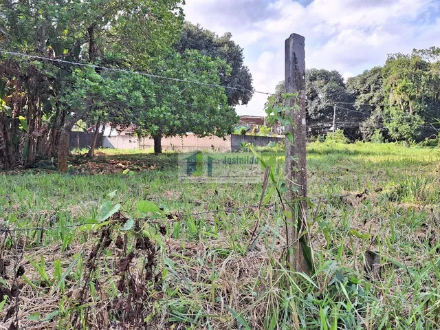 Imagem 5: Lote 26 da quadra 30 de esquina com av araça