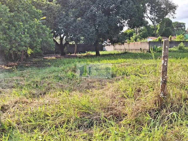 Imagem 6: Lote 26 da quadra 30 de esquina com av araça