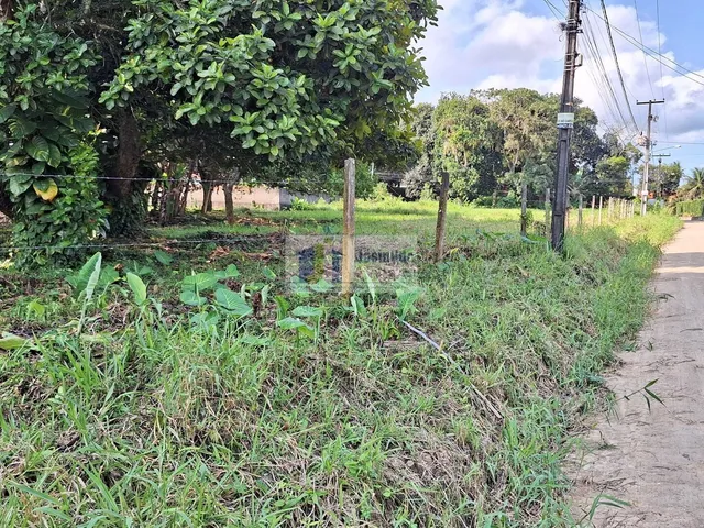 Imagem 10: Lote 26 da quadra 30 de esquina com av araça