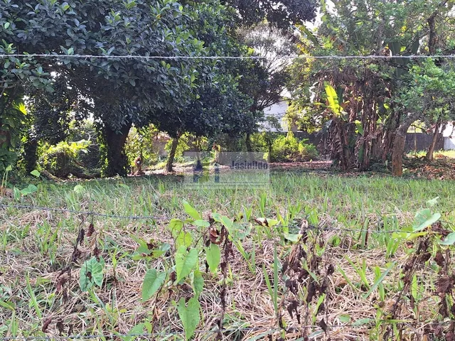 Imagem 14: Lote 26 da quadra 30 de esquina com av araça
