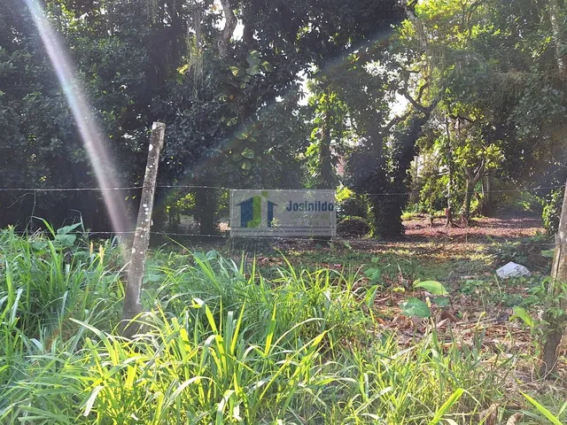 Imagem 4: Lote 26 da quadra 30 de esquina com av araça