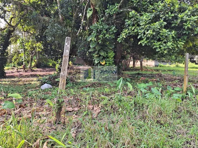 Imagem 12: Lote 26 da quadra 30 de esquina com av araça
