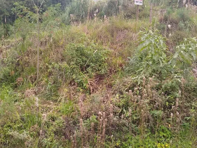 Imagem 5: Terreno em Cruzeiro, Caxias do Sul/RS