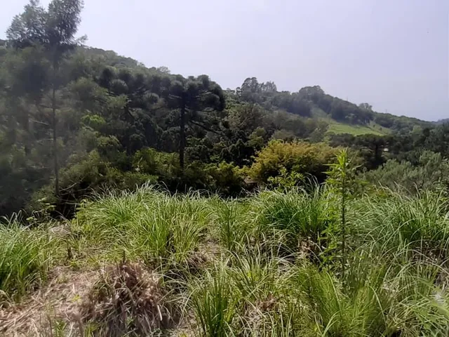 Imagem 11: Terreno em Cruzeiro, Caxias do Sul/RS