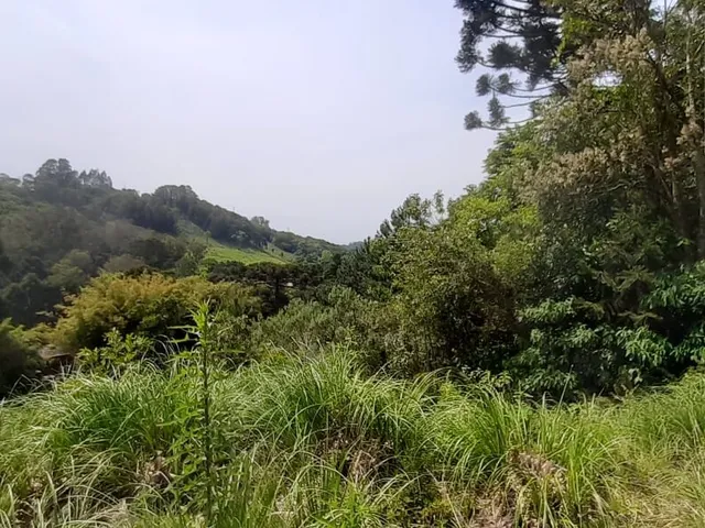 Imagem 9: Terreno em Cruzeiro, Caxias do Sul/RS