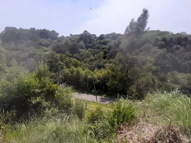 Imagem 10: Terreno em Cruzeiro, Caxias do Sul/RS