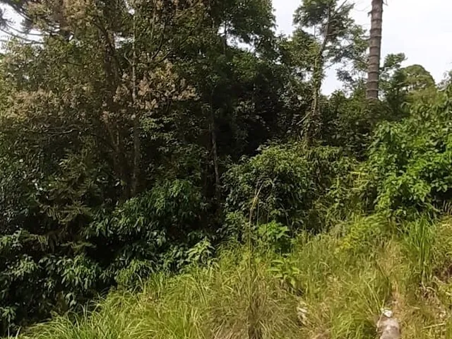 Imagem 12: Terreno em Cruzeiro, Caxias do Sul/RS