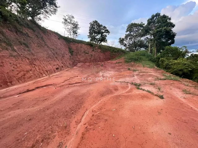 Imagem 3: Terreno no Condomínio Solar das Palmeiras