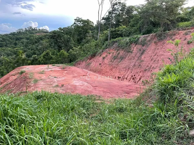 Imagem 4: Terreno no Condomínio Solar das Palmeiras