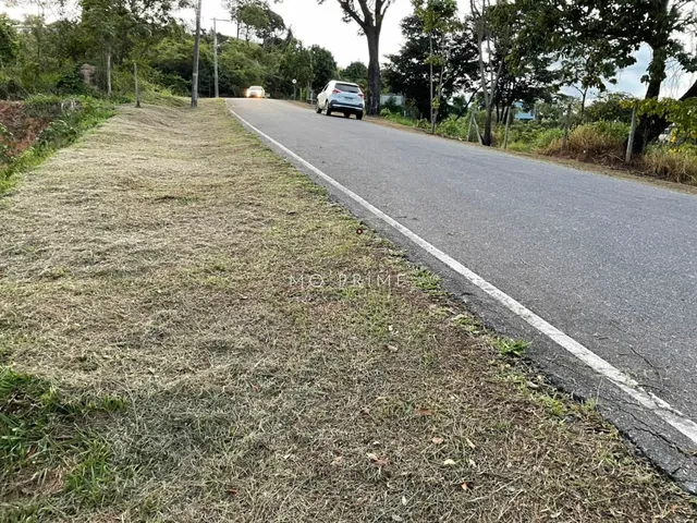 Imagem 6: Terreno no Condomínio Solar das Palmeiras