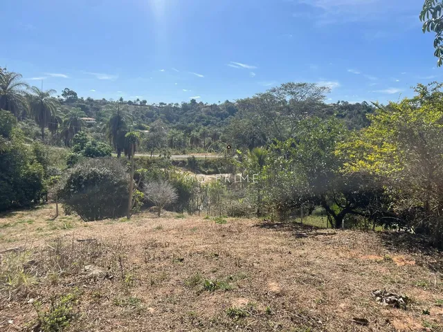 Imagem 12: Terreno de 1000M2 no Condomínio Solar das Palmeiras