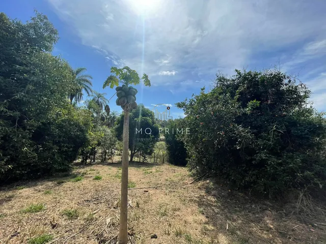 Imagem 8: Terreno de 1000M2 no Condomínio Solar das Palmeiras