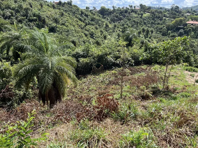 Imagem 12: Terreno Fundo para Um Lago no Condomínio Solar das Palmeiras