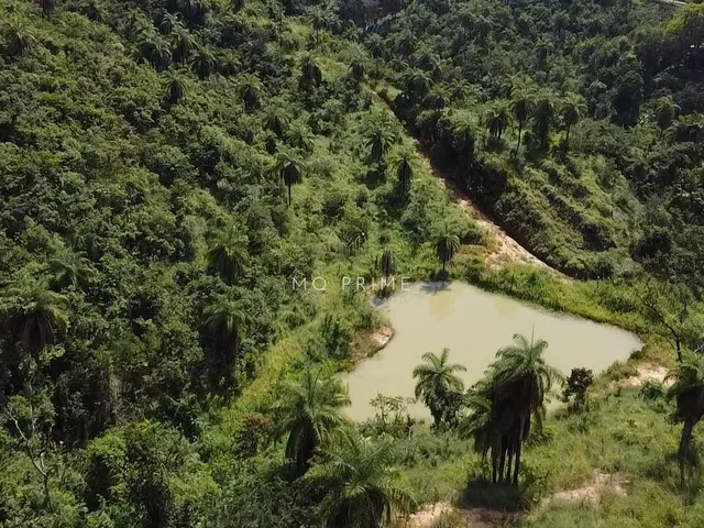 Imagem 10: Terreno Fundo para Um Lago no Condomínio Solar das Palmeiras
