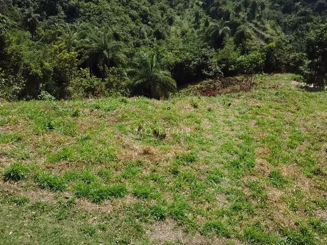 Imagem 3: Terreno Fundo para Um Lago no Condomínio Solar das Palmeiras