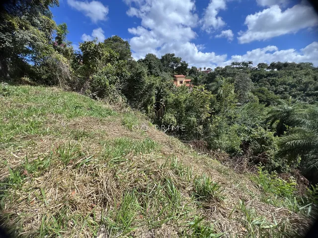 Imagem 6: Terreno Fundo para Um Lago no Condomínio Solar das Palmeiras